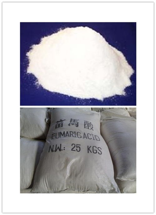哈爾濱太明食品級(jí)富馬酸價(jià)格指南與應(yīng)用解析